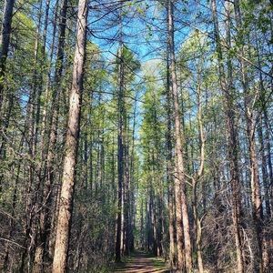 Meet your Posher, Joanna